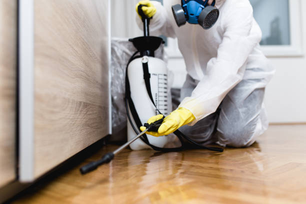 Best Best Pest Control Companies  in Rincon Valley, AZ